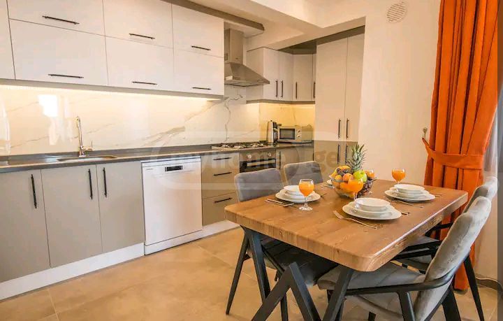 3 Room Flat Daily Rent. Isani view 10