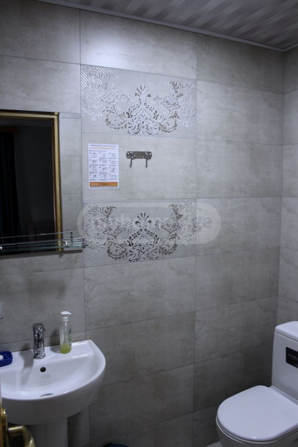 5 Room Private House Daily Rent In Borjomi view 10