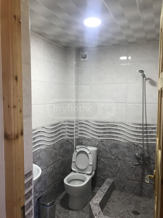 5 Room Private House Daily Rent In Borjomi view 12