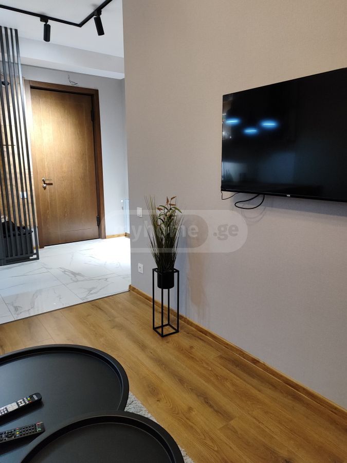 Daily Rent 2 Room Apartment Chughuretshi view 4