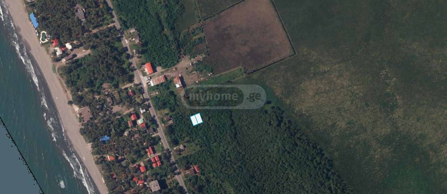 Agricultural Plot For Sale In Grigoleti, In Lanchkhuti Municipality view 1