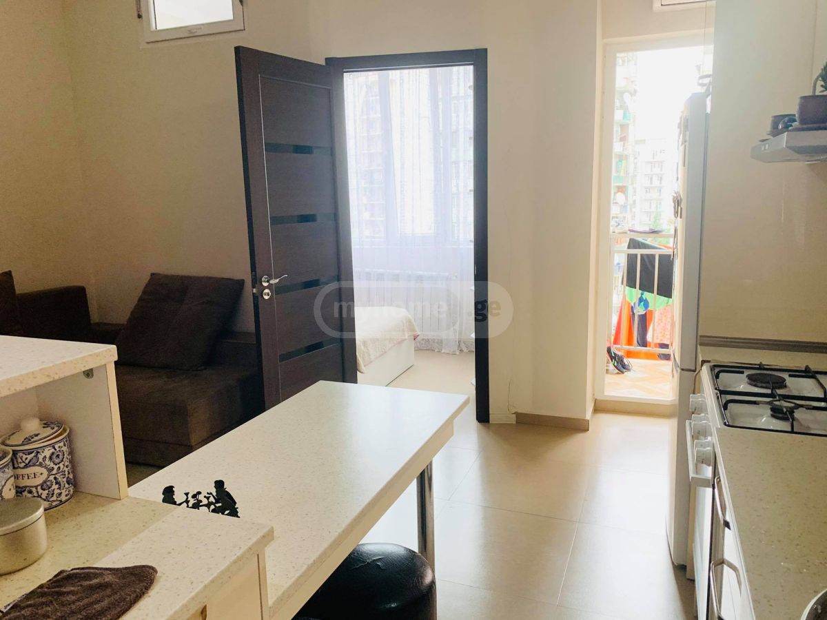 3 Room Apartment Daily Rent In Old Batumi District, In Batumi view 12
