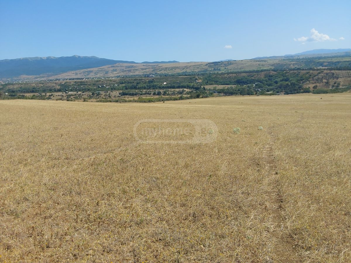 იყიდება მიწა / ნაკვეთი Gardabanshiში view 1