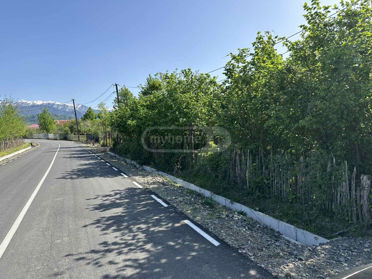 იყიდება Agricultural Plot In Ozurgetiში view 2