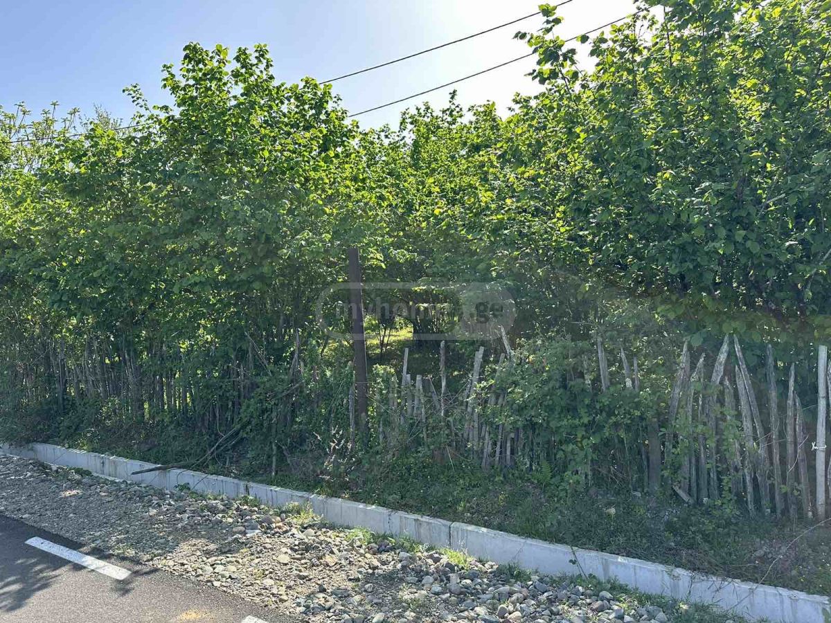იყიდება Agricultural Plot In Ozurgetiში view 3