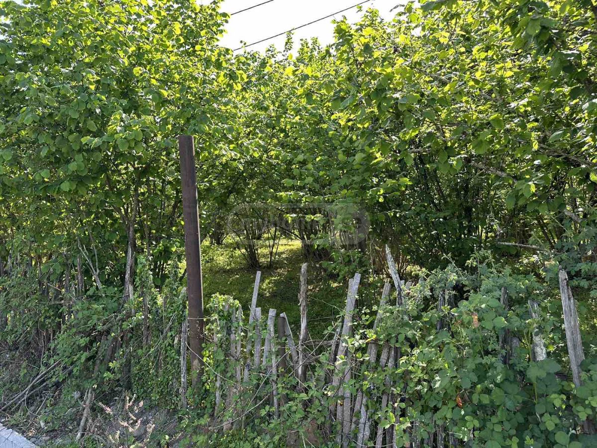 იყიდება Agricultural Plot In Ozurgetiში view 4