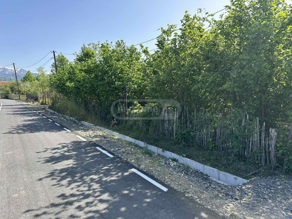 იყიდება Agricultural Plot In Ozurgetiში view 5