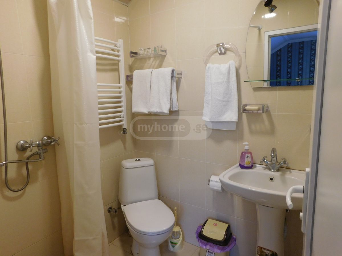 3 Room Private House Daily Rent In Borjomi view 10