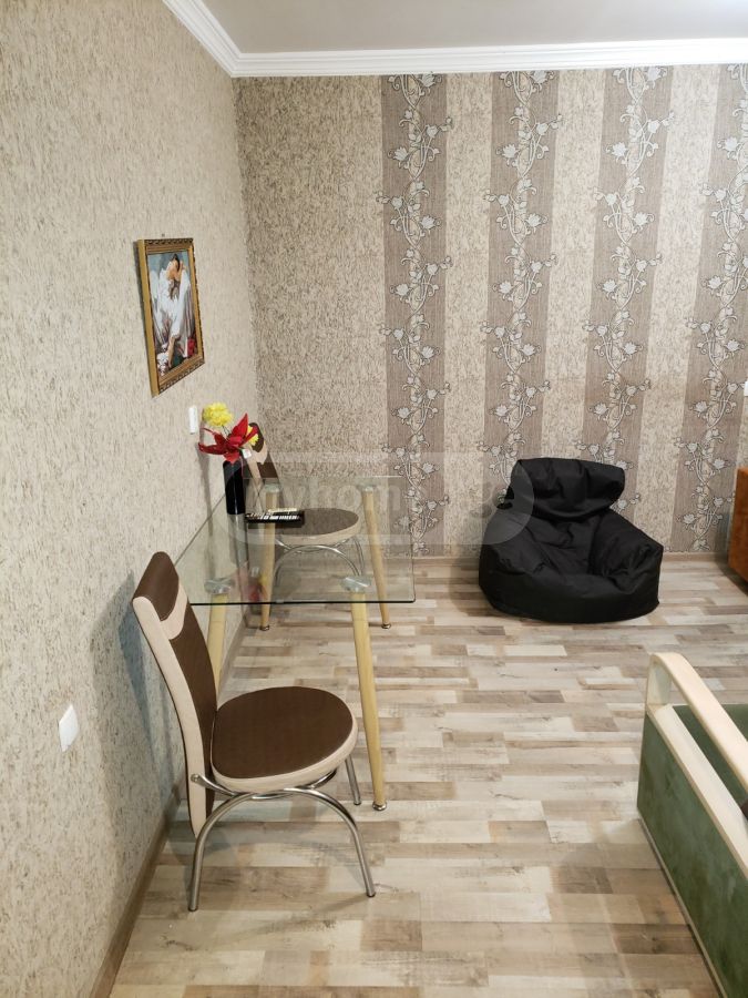 Daily Rent 1 Room Apartment Kutaisshi view 10