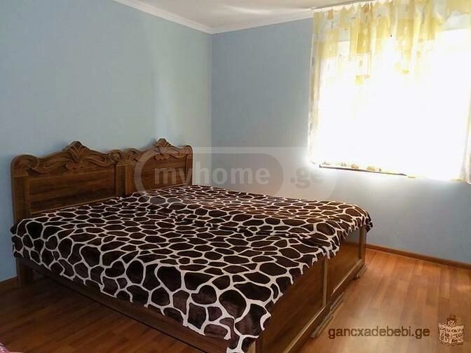 For Rent 4 Room Private House Zugdidshi view 8