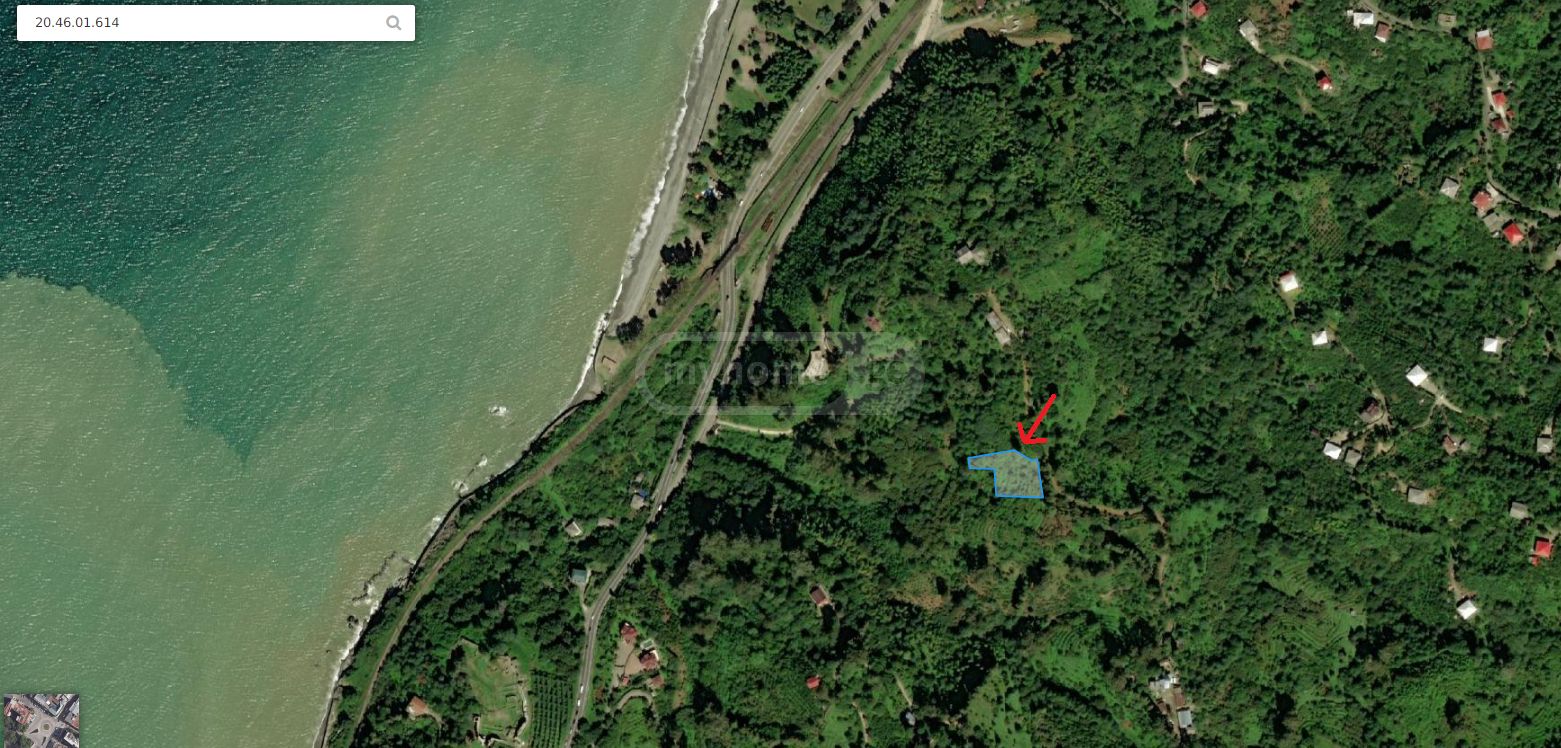 Agricultural Plot For Sale In Kobuleti Municipality view 1