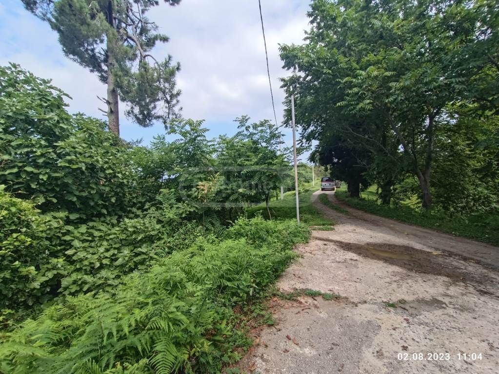 Agricultural Plot For Sale In Kobuleti Municipality view 2