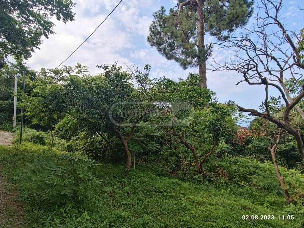 Agricultural Plot For Sale In Kobuleti Municipality view 4