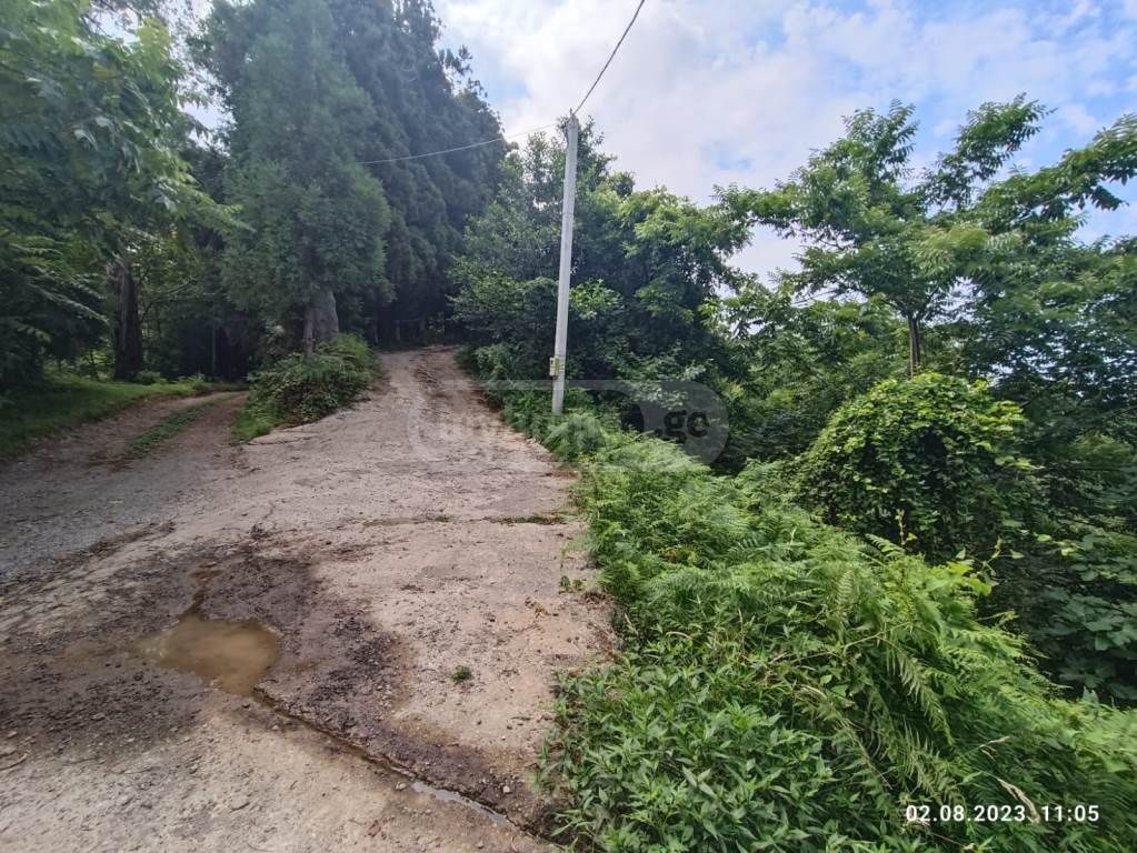 Agricultural Plot For Sale In Kobuleti Municipality view 5