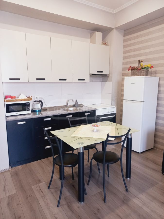 2 Room Flat Daily Rent. Saburtalo view 20