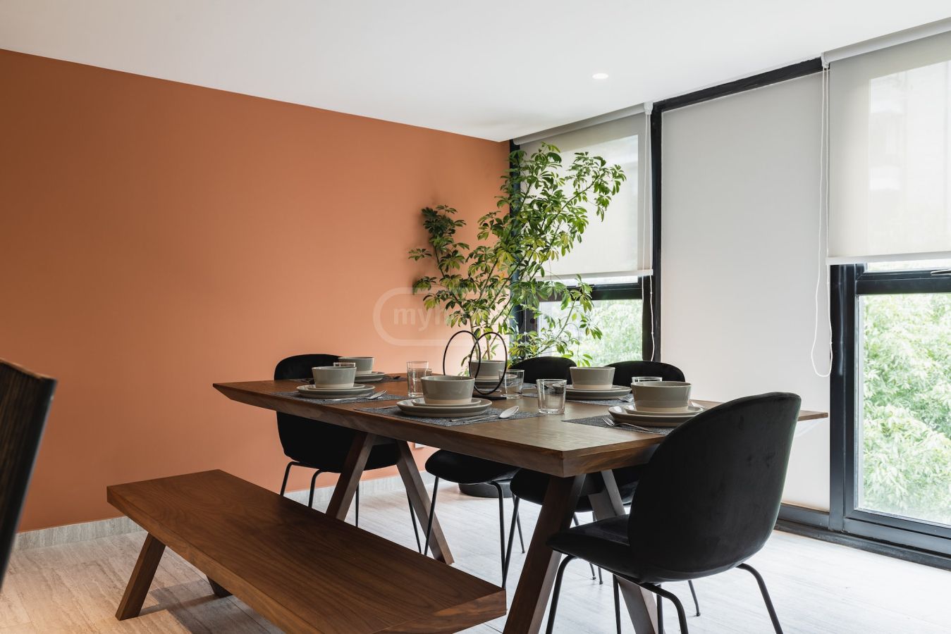 For Rent 4 Room Apartment Shindisshi view 9
