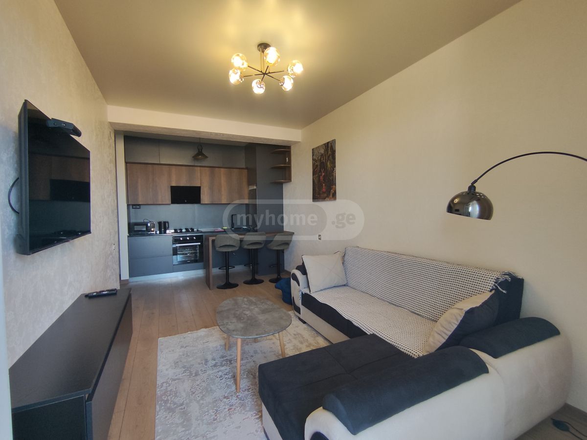 3 Room Apartment Daily Rent In Isani view 7