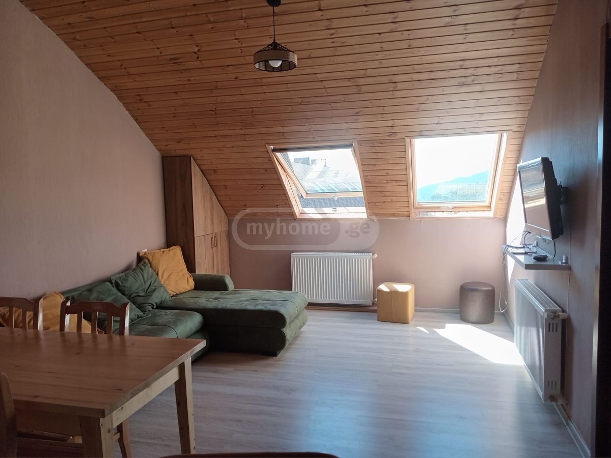 Daily Rent 2 Room Sastumro Bakurianshi, 2 of 12