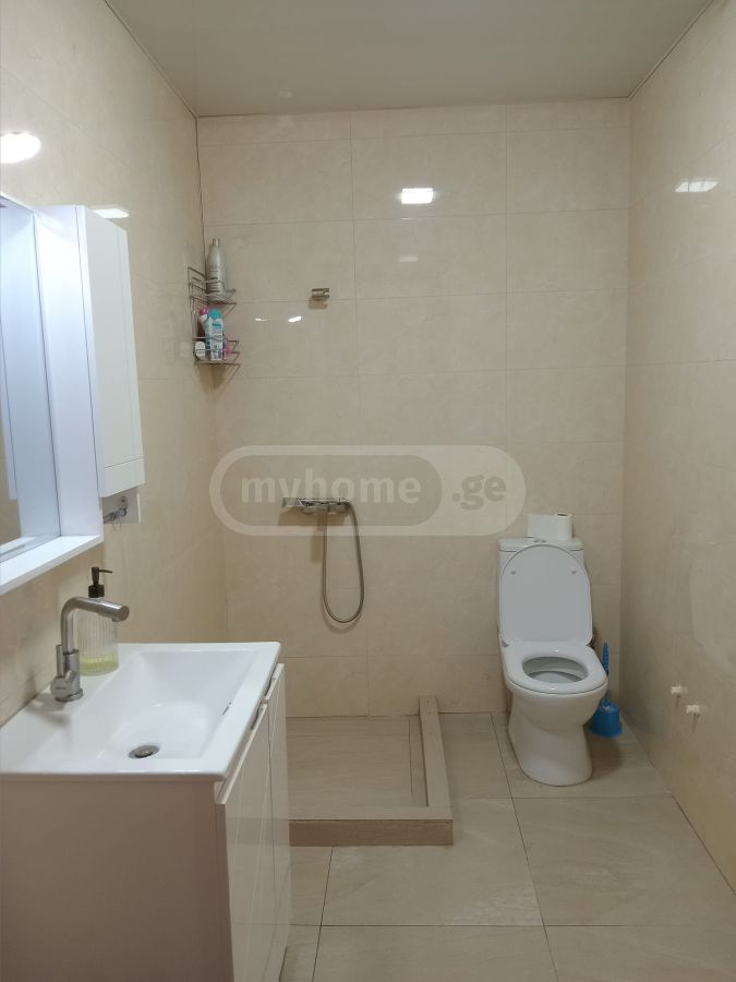 Daily Rent 2 Room Sastumro Bakurianshi, 11 of 12