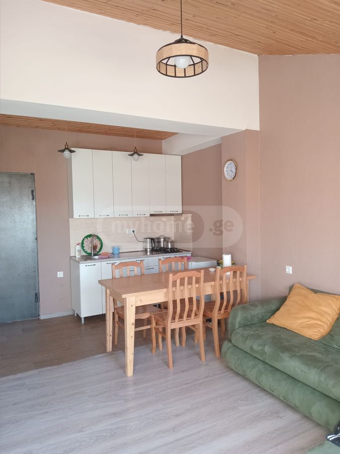 Daily Rent 2 Room Sastumro Bakurianshi, 5 of 12