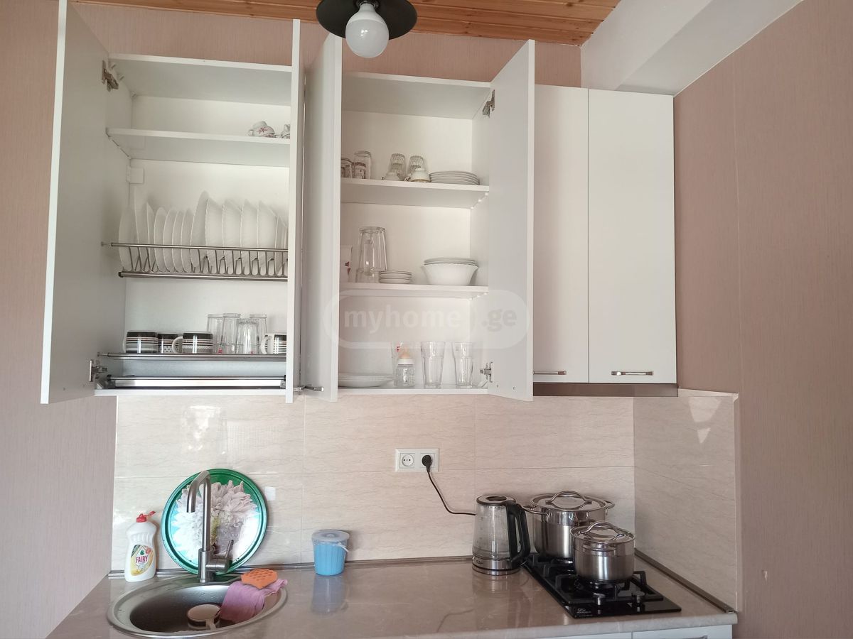 Daily Rent 2 Room Sastumro Bakurianshi, 10 of 12