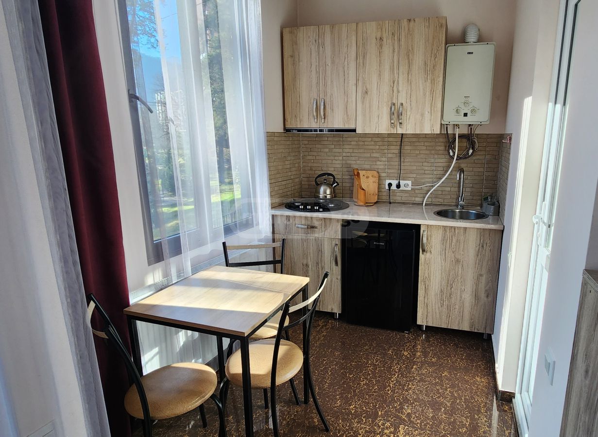 2 Room Apartment Daily Rent In Borjomi Municipality view 10