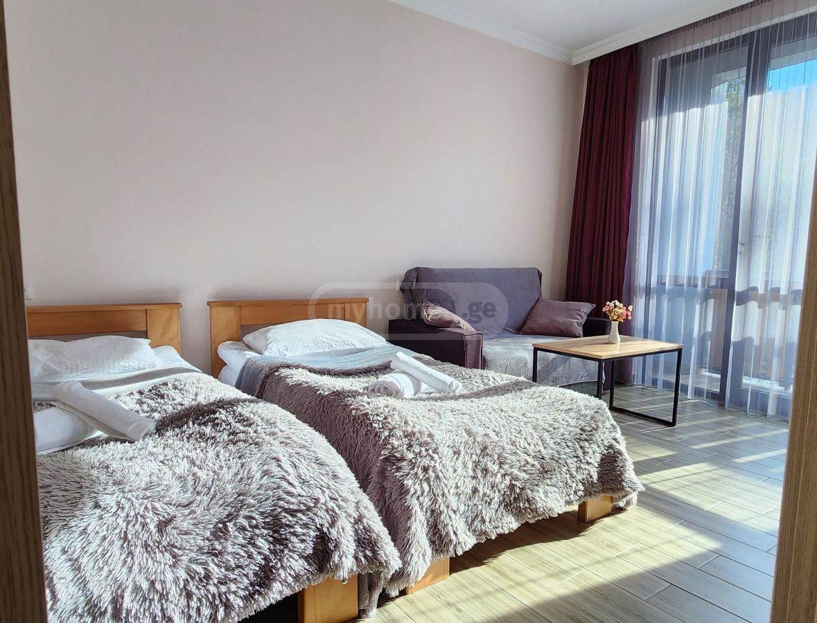2 Room Apartment Daily Rent In Borjomi Municipality view 12