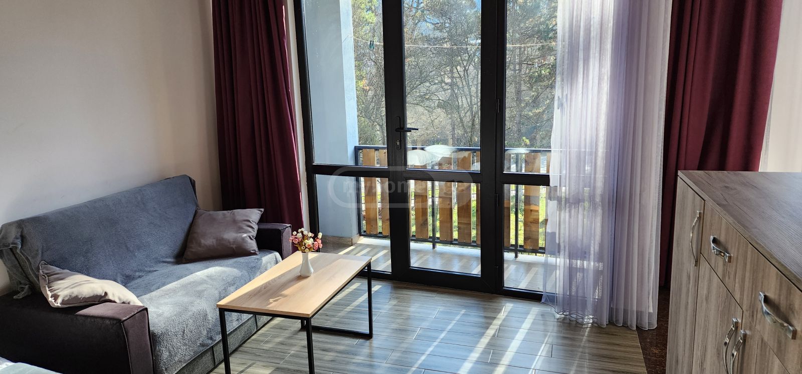 2 Room Apartment Daily Rent In Borjomi Municipality view 5