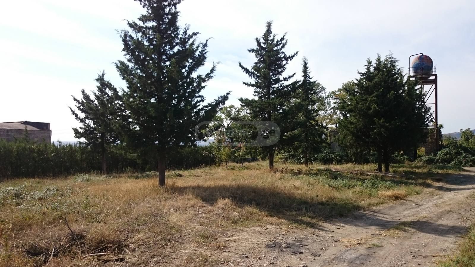 For Sale Sasatsqobe Commercial Space Sagarejoshi view 3