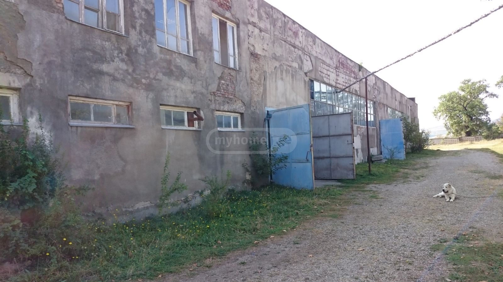 For Sale Sasatsqobe Commercial Space Sagarejoshi view 8