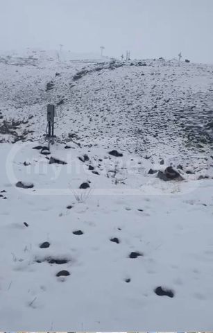 Agricultural Plot For Sale In Gudauri view 1