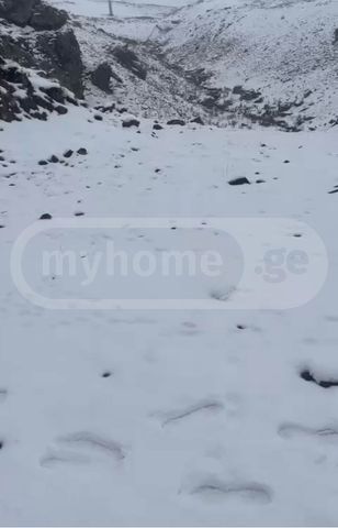 Agricultural Plot For Sale In Gudauri view 2
