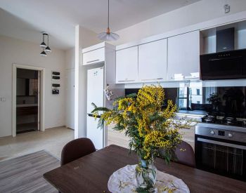 2 room apartment lease in isani