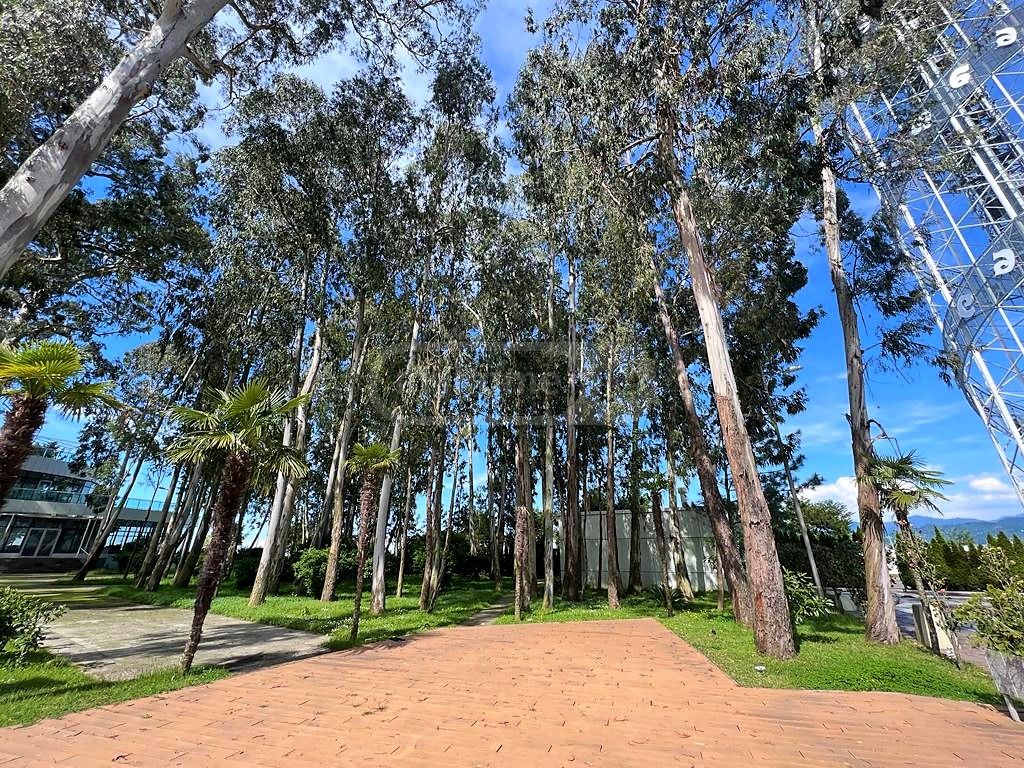 For Sale 6 Room Apartment view 9