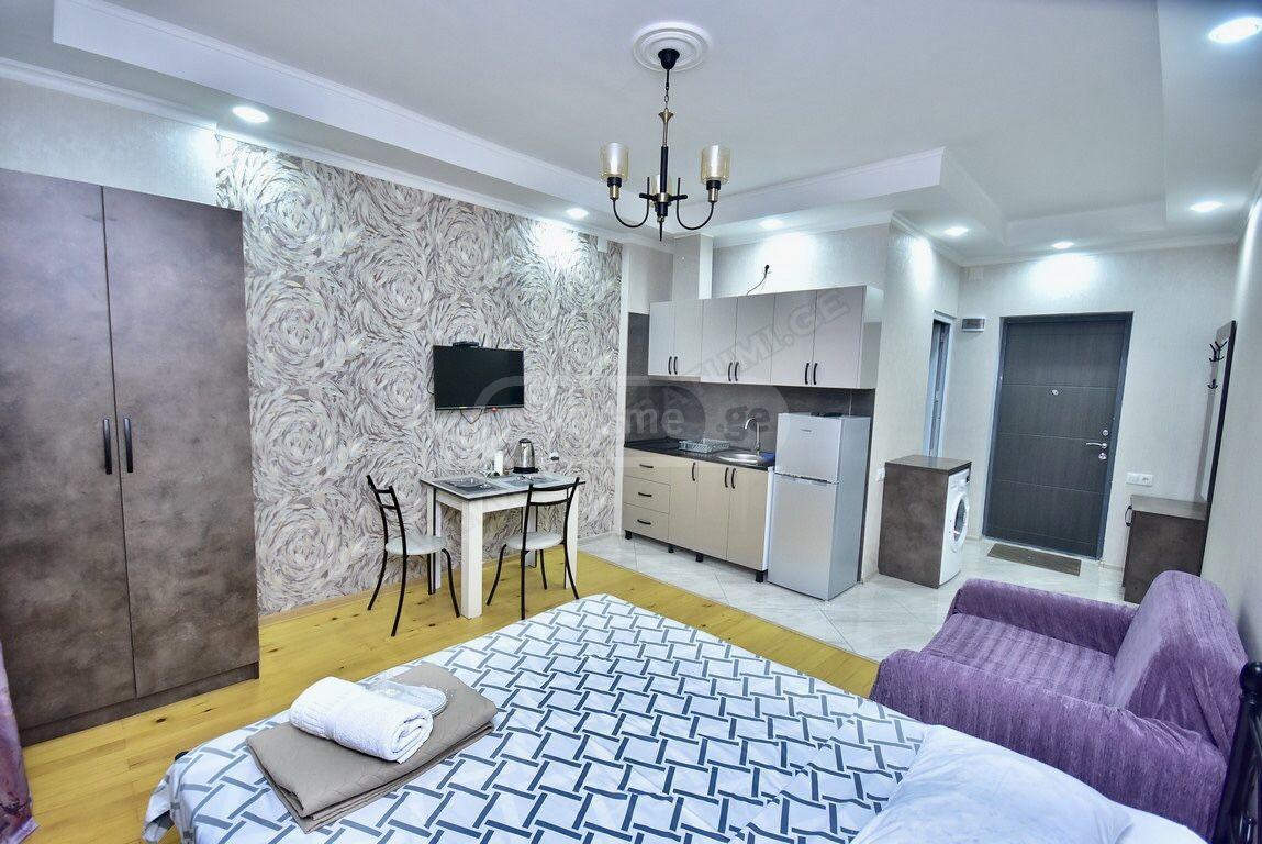 1 Room Apartment Daily Rent In Batumi view 9