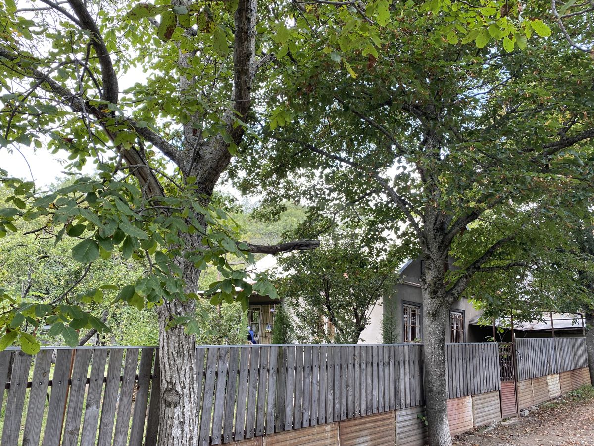 For Sale 5 Room Country House Tetritsqaroshi view 5