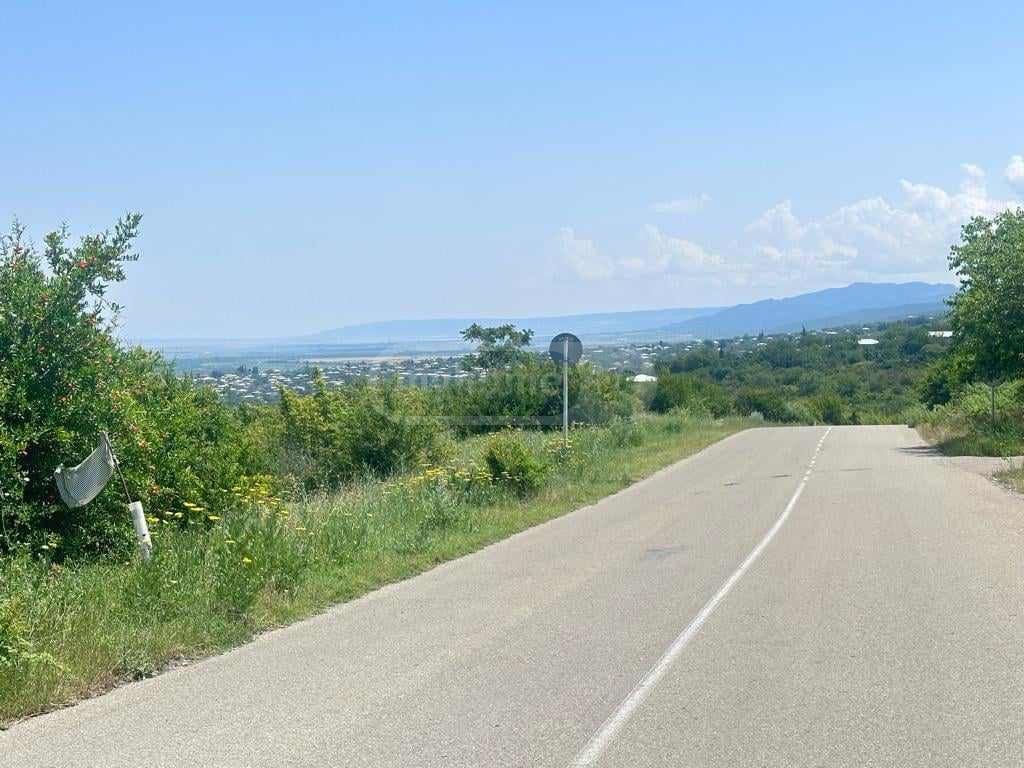 იყიდება მიწა / ნაკვეთი Sighnaghshiში view 1