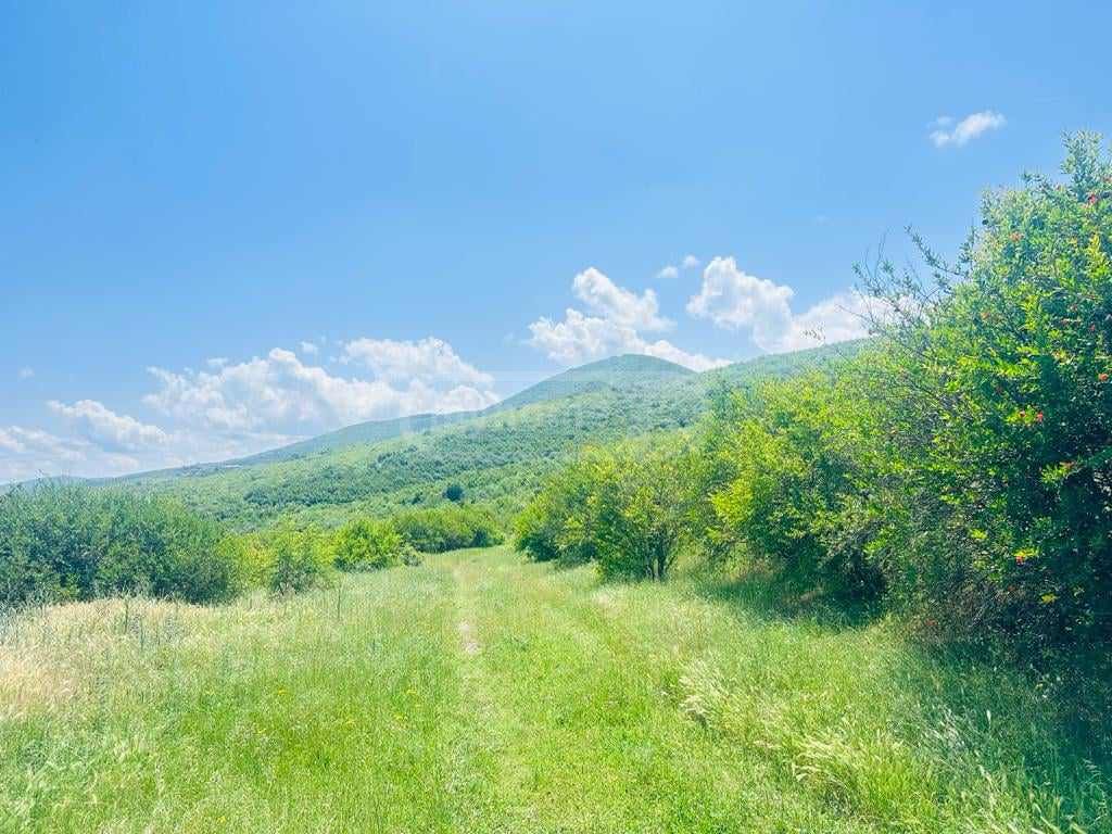 იყიდება მიწა / ნაკვეთი Sighnaghshiში view 10