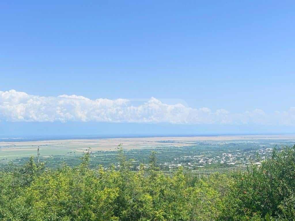 იყიდება მიწა / ნაკვეთი Sighnaghshiში view 2
