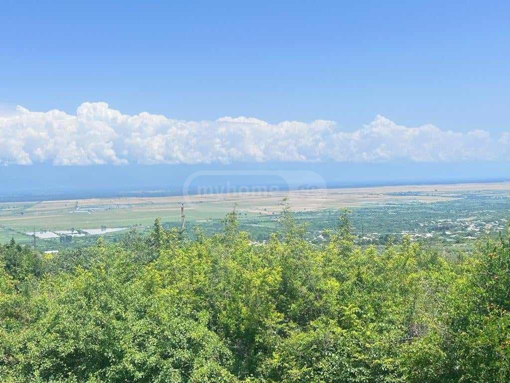 იყიდება მიწა / ნაკვეთი Sighnaghshiში view 4