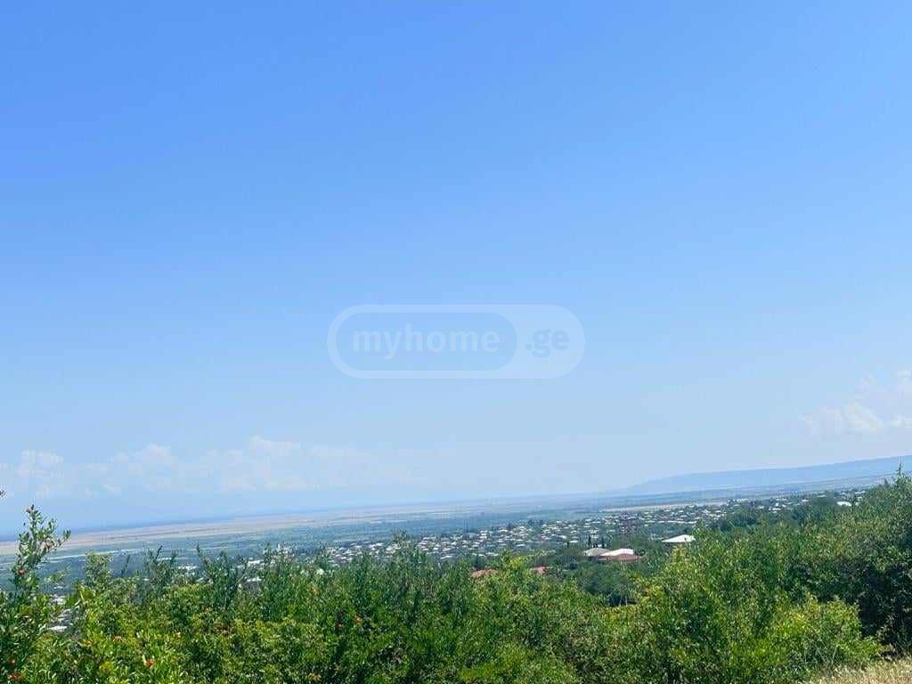 იყიდება მიწა / ნაკვეთი Sighnaghshiში view 6