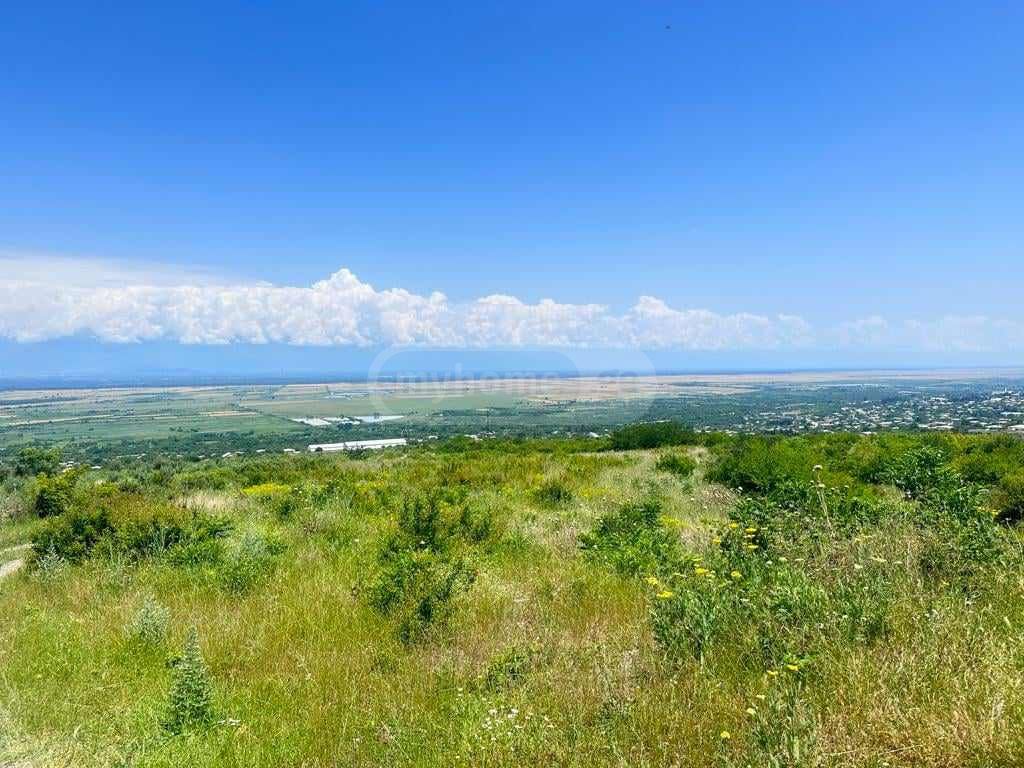 იყიდება მიწა / ნაკვეთი Sighnaghshiში view 7