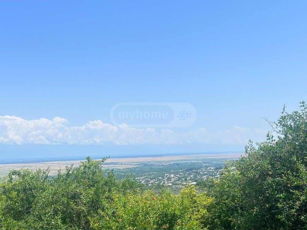 იყიდება მიწა / ნაკვეთი Sighnaghshiში view 8