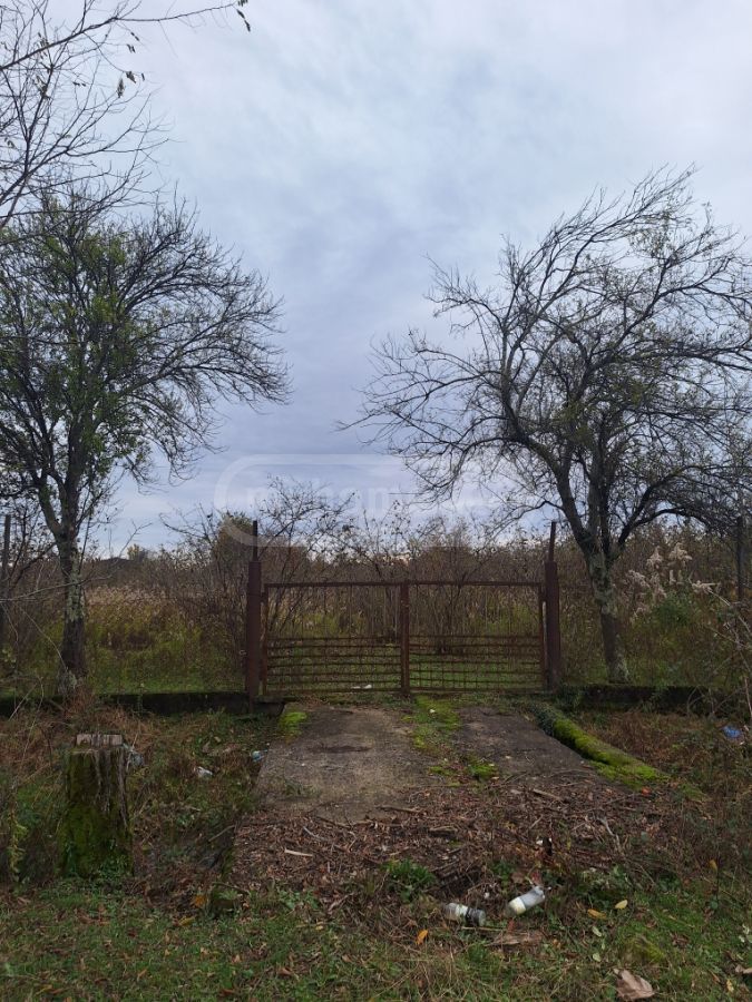 იყიდება Agricultural Plot In Zugdidiში view 2