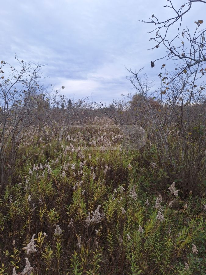 იყიდება Agricultural Plot In Zugdidiში view 3