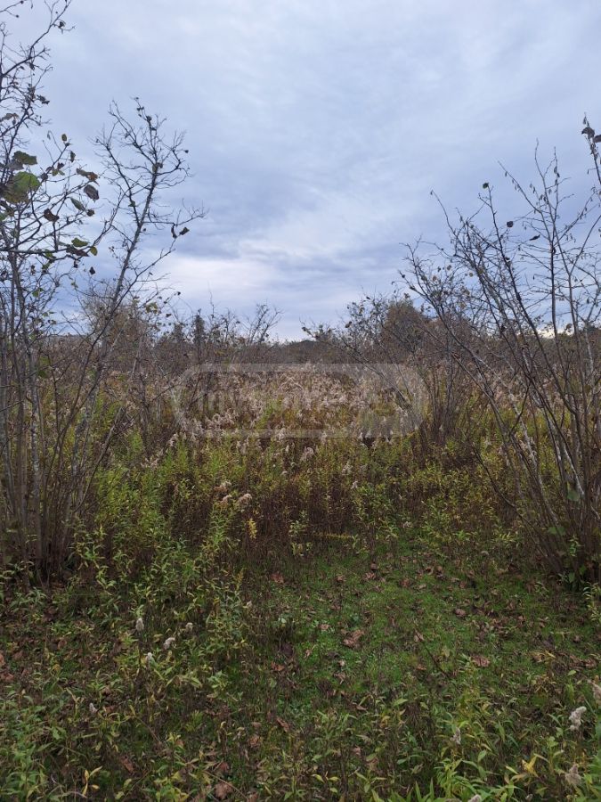 იყიდება Agricultural Plot In Zugdidiში view 4