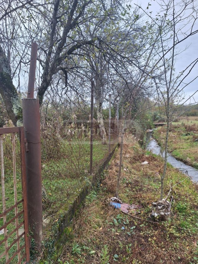 იყიდება Agricultural Plot In Zugdidiში view 5