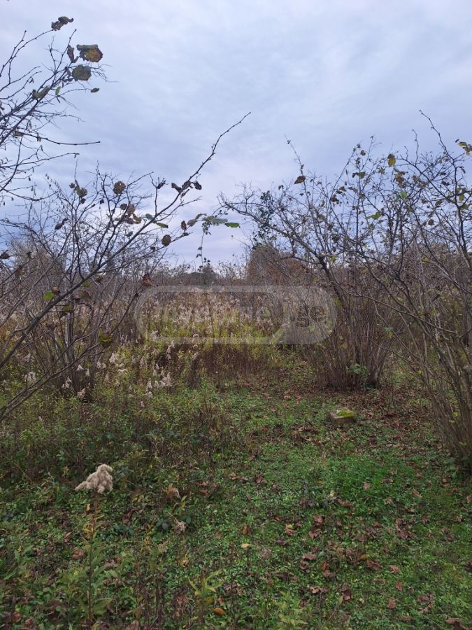 იყიდება Agricultural Plot In Zugdidiში view 6