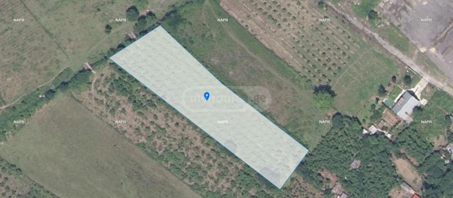 იყიდება Agricultural Plot In Zugdidiში view 8