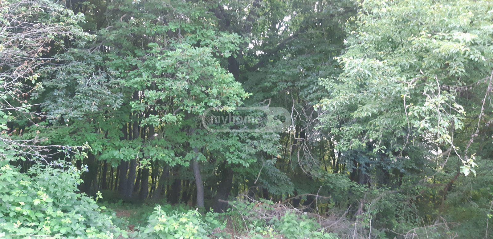 For Sale 10+ Room Private House Kojorshi view 11